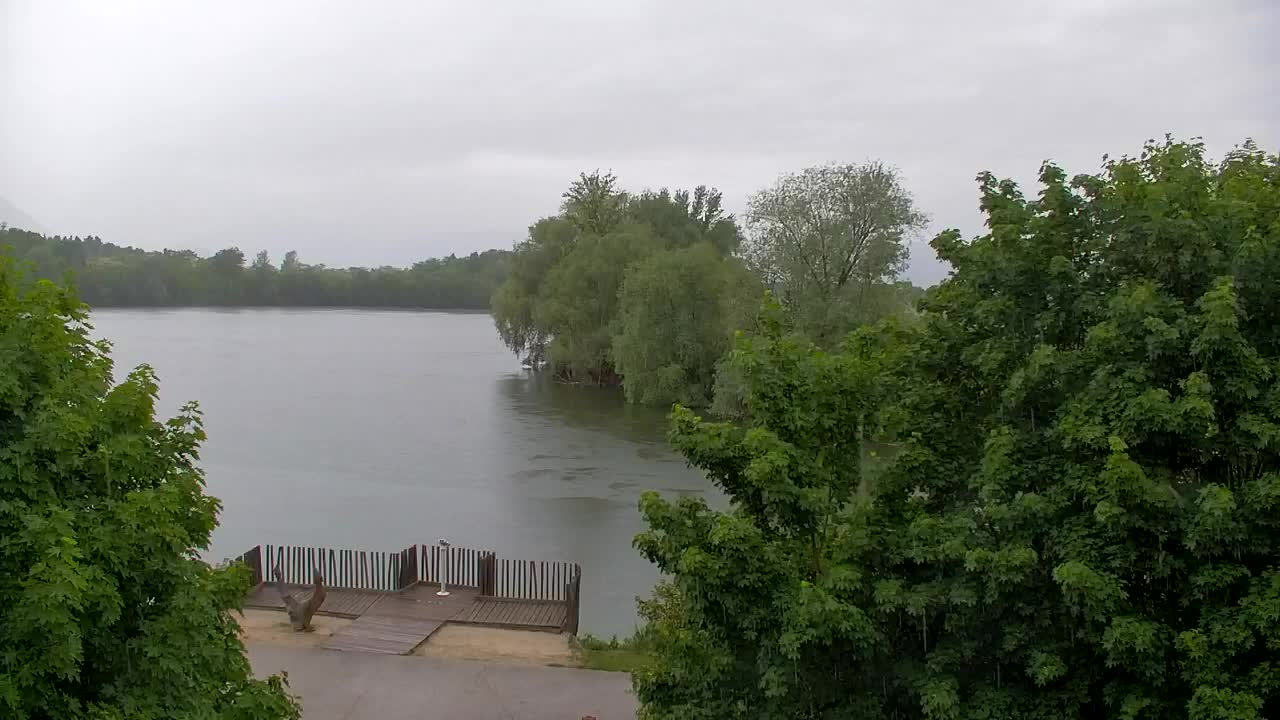 Webcam Ribnik Vrbje – Žalec