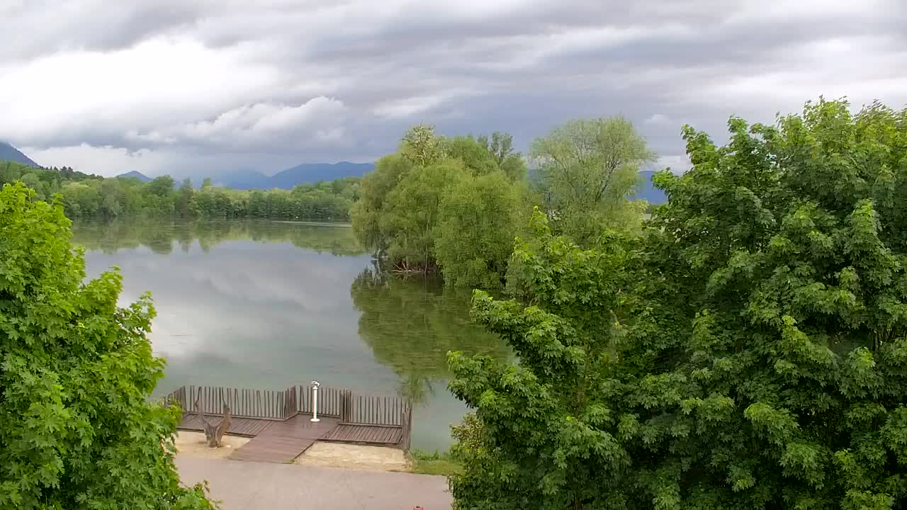 Webcam Ribnik Vrbje – Žalec