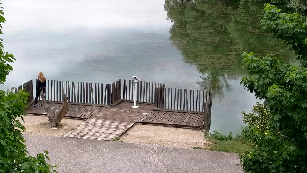 Webcam Ribnik Vrbje – Žalec