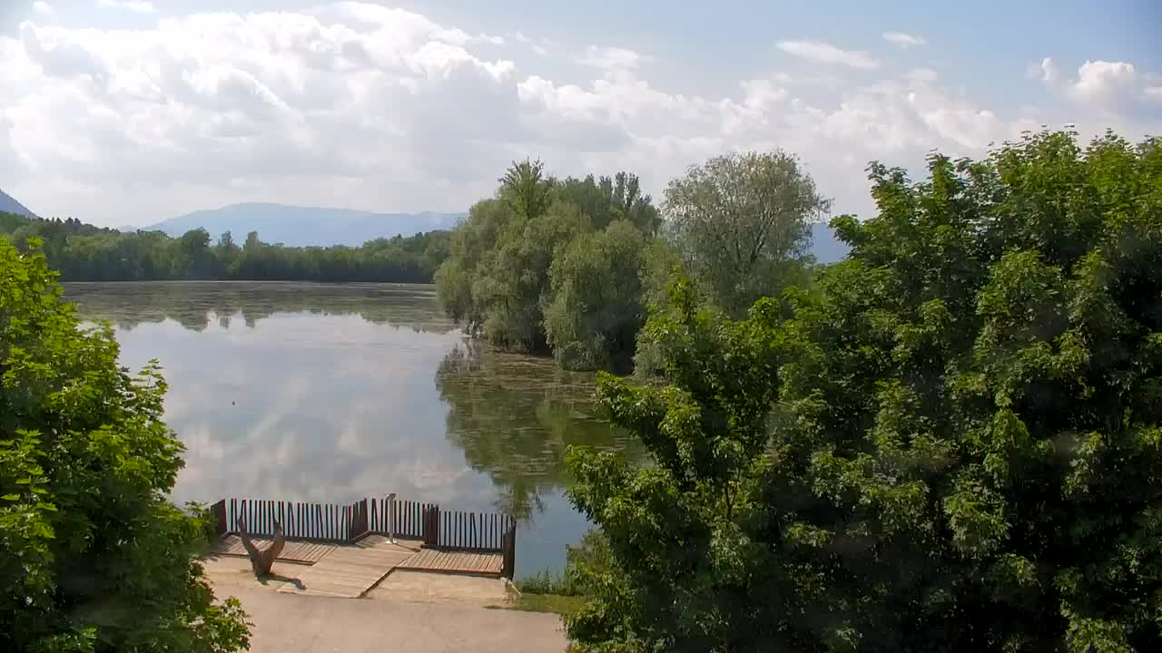 Webcam Ribnik Vrbje – Žalec