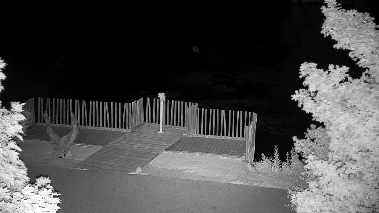 Webcam Ribnik Vrbje – Žalec