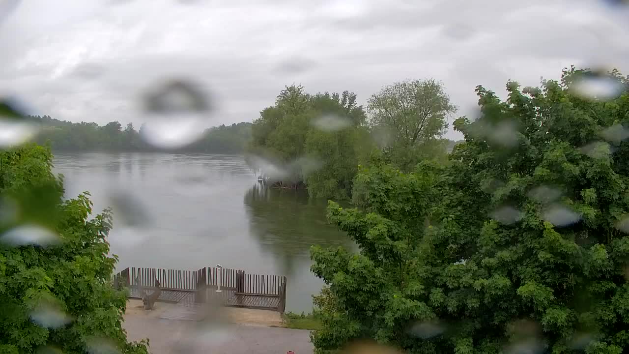 Webcam Ribnik Vrbje – Žalec