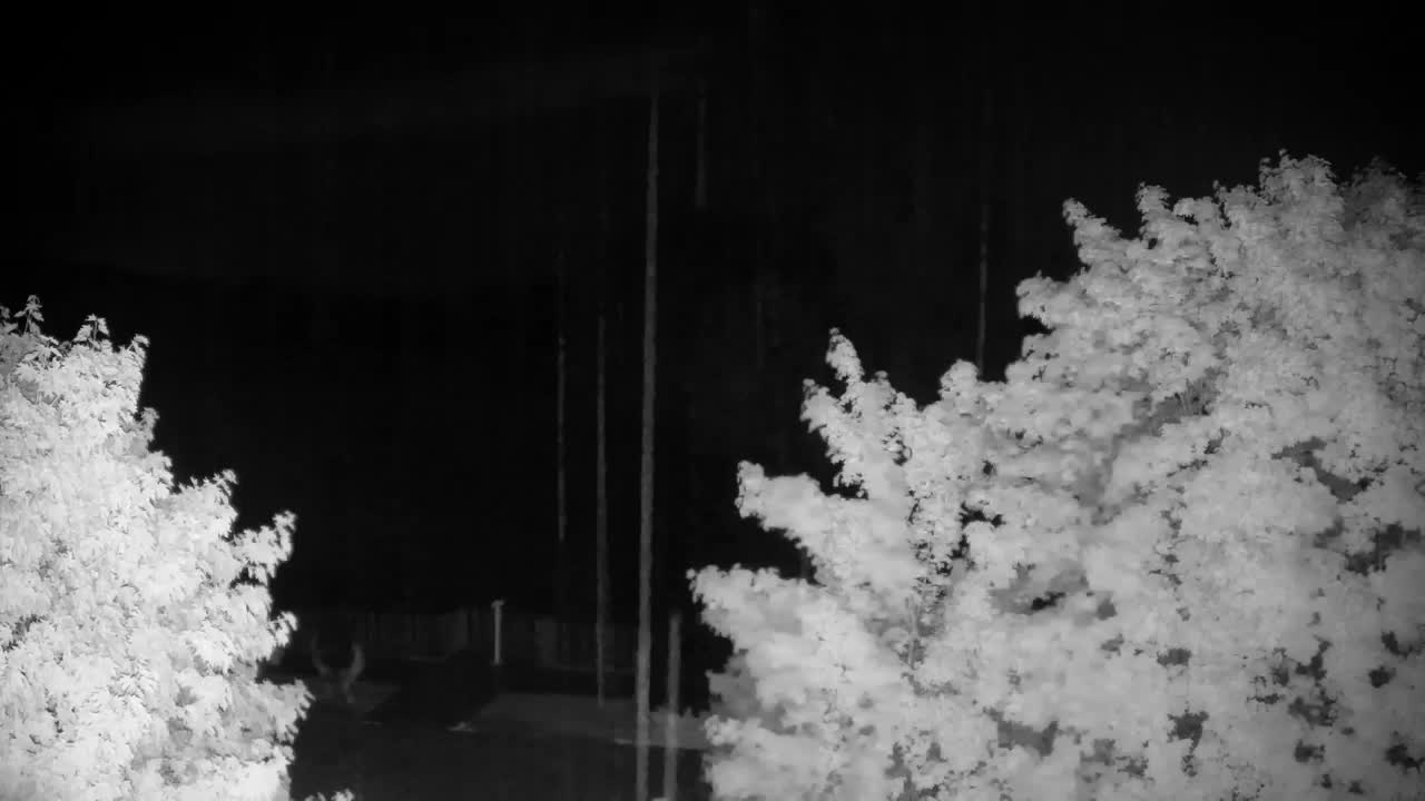 Webcam Ribnik Vrbje – Žalec