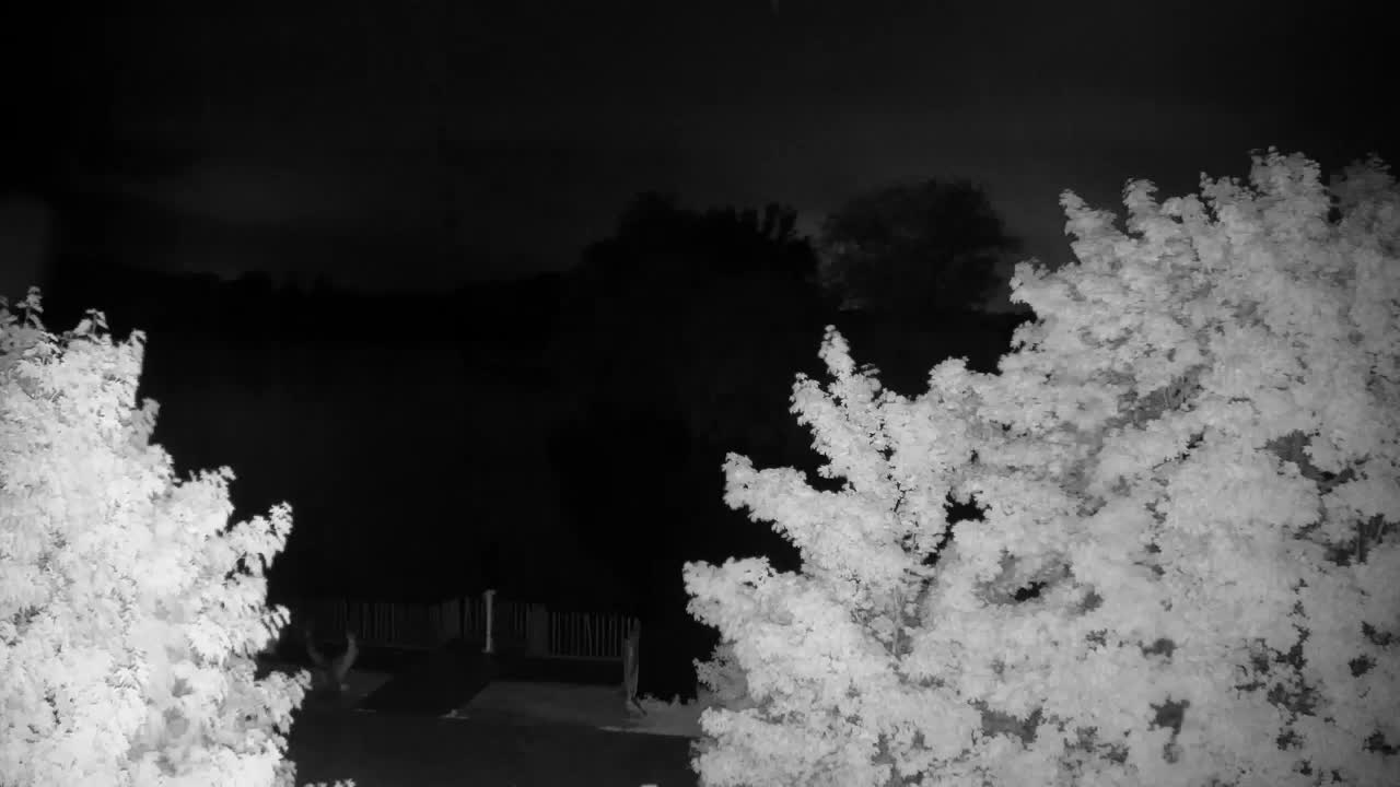 Webcam Ribnik Vrbje – Žalec