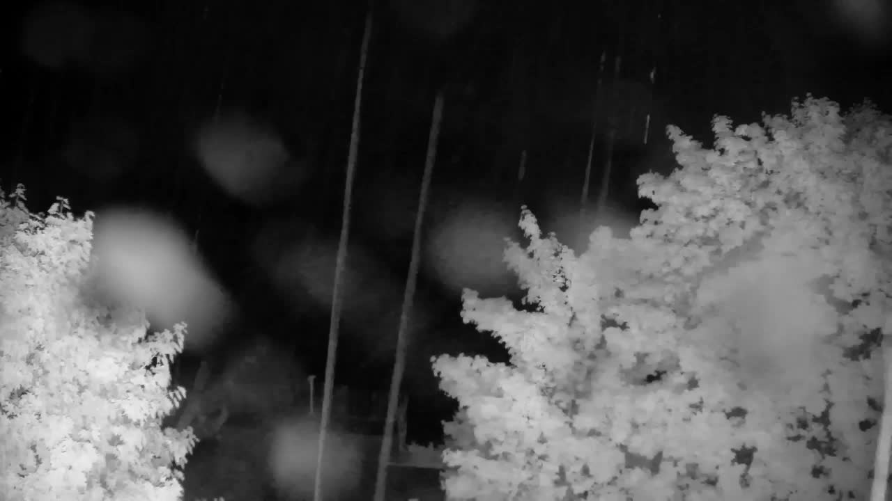 Webcam Ribnik Vrbje – Žalec