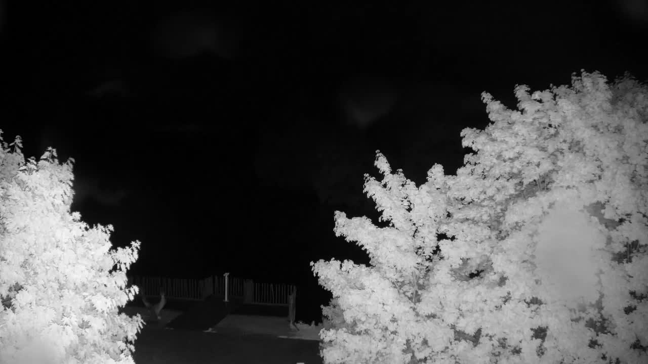 Webcam Ribnik Vrbje – Žalec