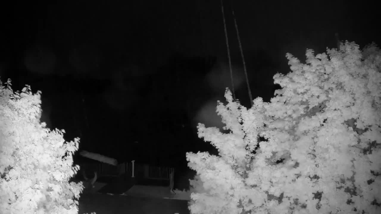 Webcam Ribnik Vrbje – Žalec