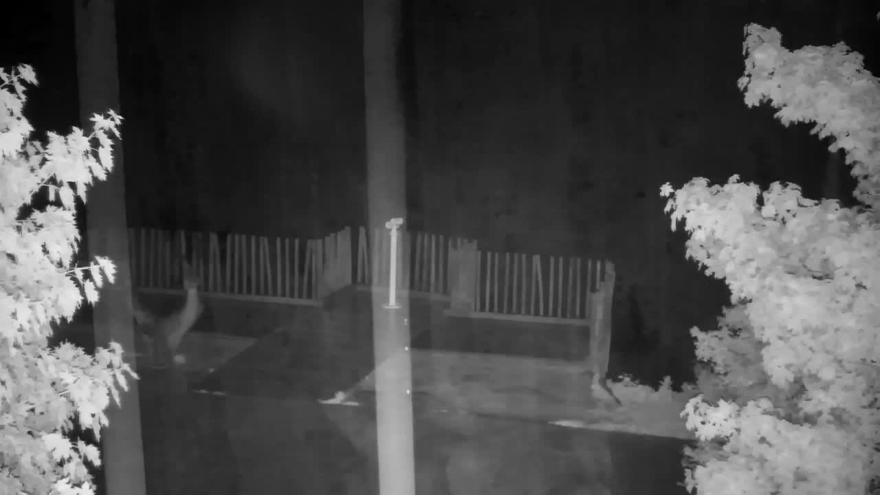 Webcam Ribnik Vrbje – Žalec