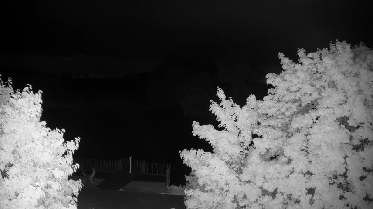 Spletna kamera Ribnik Vrbje – Žalec