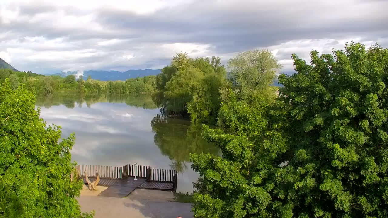 Webcam Ribnik Vrbje – Žalec