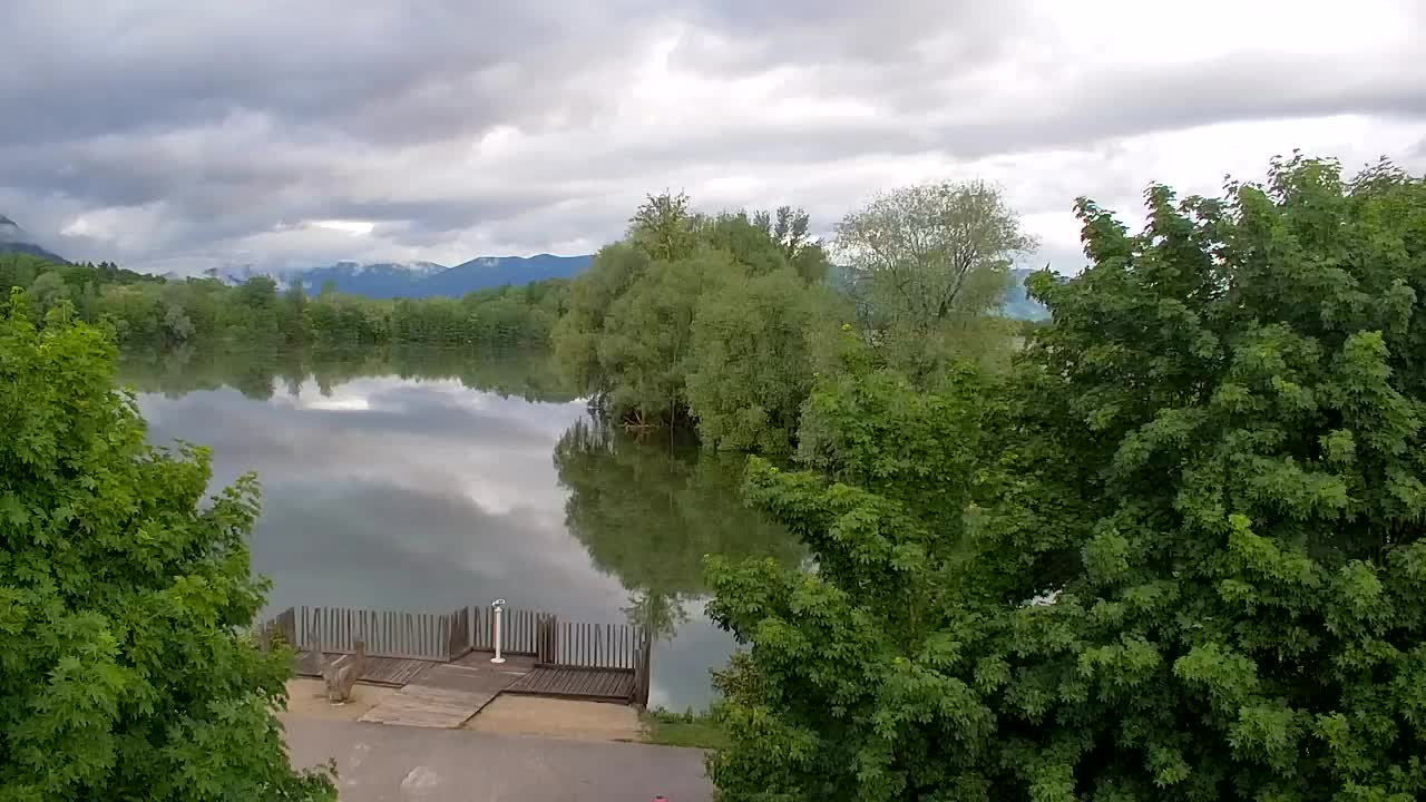 Webcam Ribnik Vrbje – Žalec