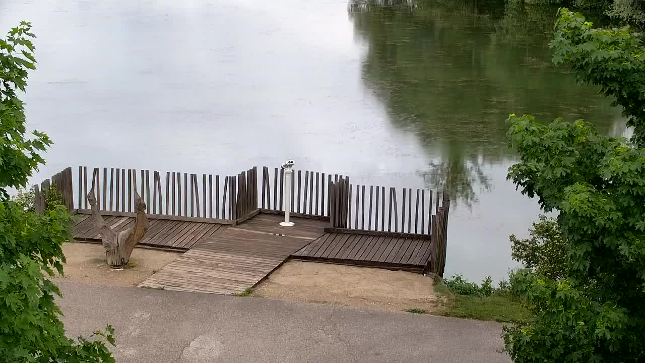 Webcam Ribnik Vrbje – Žalec