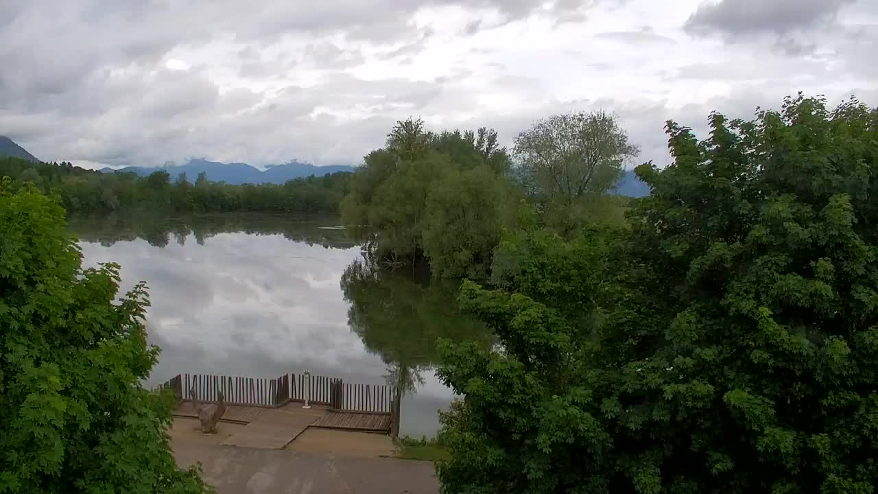 Webcam Ribnik Vrbje – Žalec