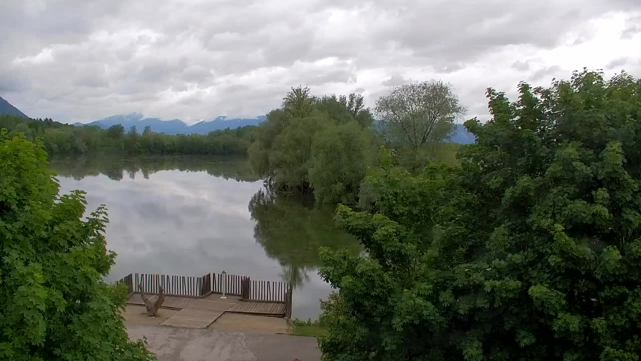 Webcam Ribnik Vrbje – Žalec