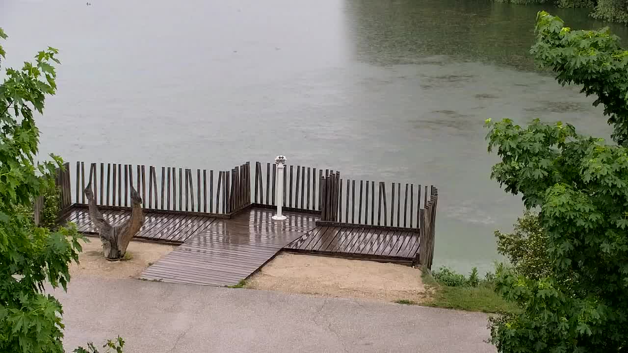 Spletna kamera Ribnik Vrbje – Žalec
