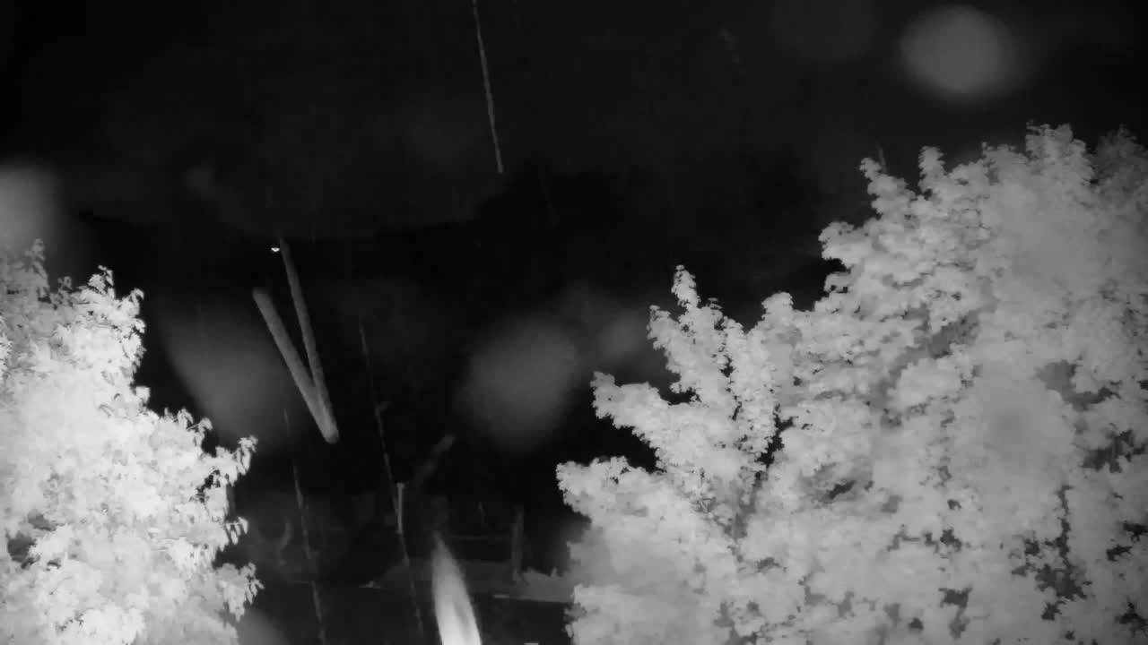 Webcam Ribnik Vrbje – Žalec