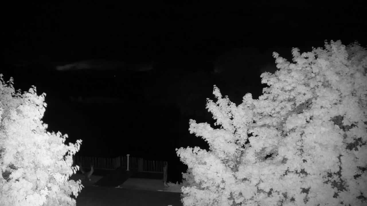 Webcam Ribnik Vrbje – Žalec