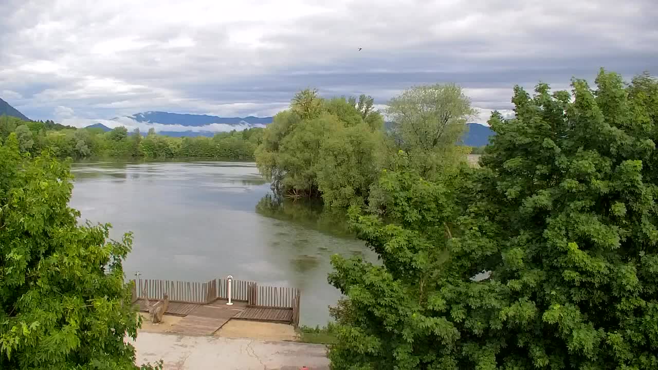 Webcam Ribnik Vrbje – Žalec