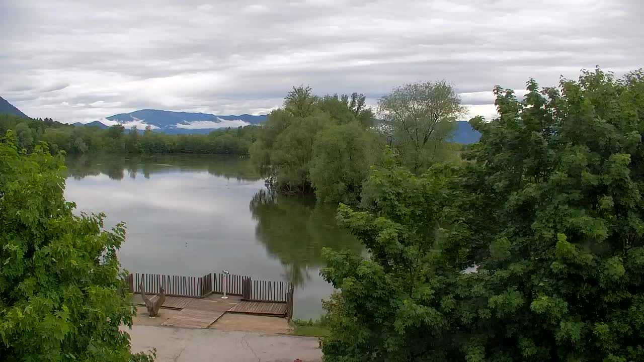 Webcam Ribnik Vrbje – Žalec