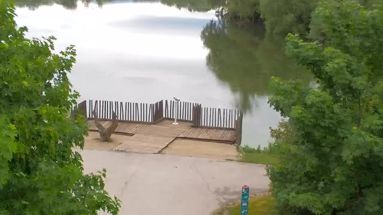 Webcam Ribnik Vrbje – Žalec