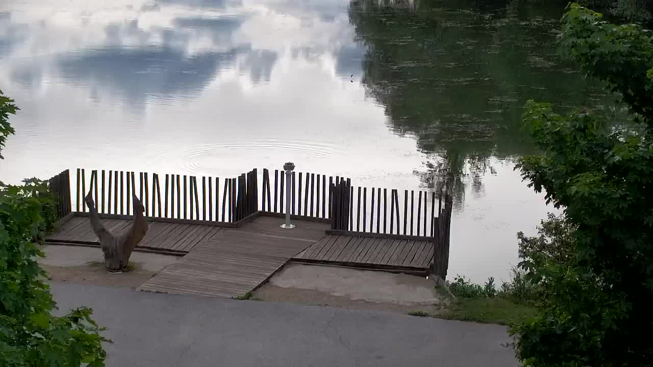 Webcam Ribnik Vrbje – Žalec