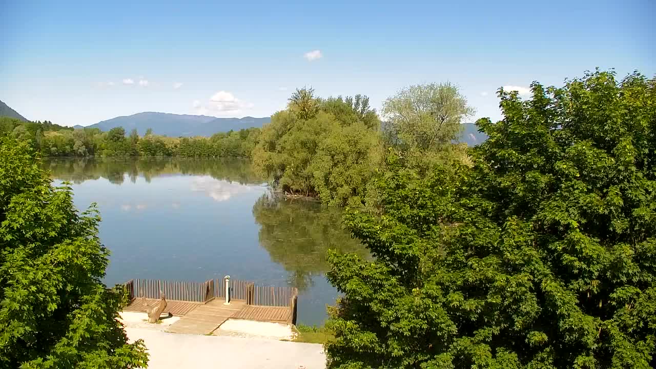 Webcam Ribnik Vrbje – Žalec