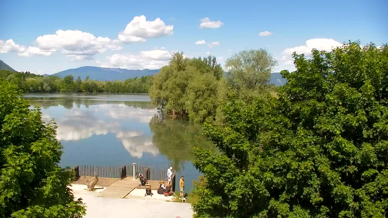 Webcam Ribnik Vrbje – Žalec