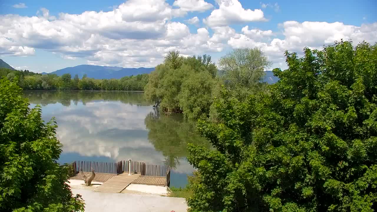 Webcam Ribnik Vrbje – Žalec
