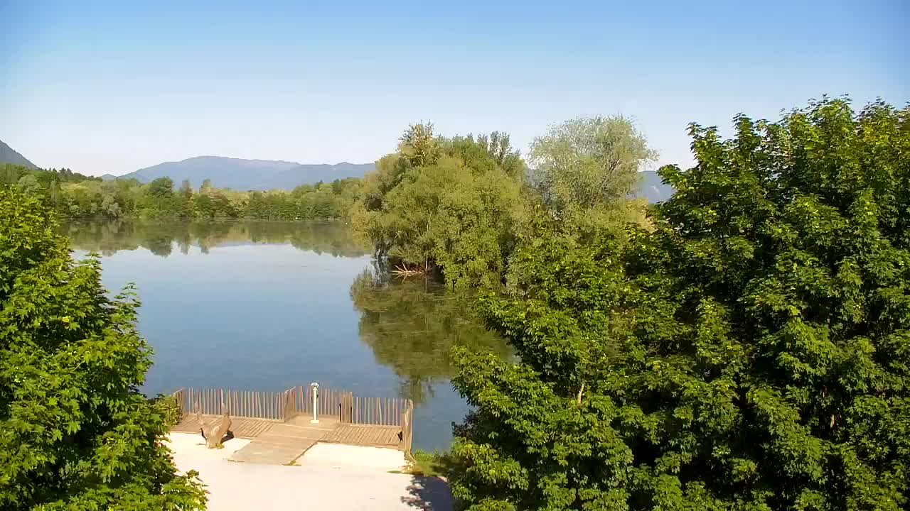 Webcam Ribnik Vrbje – Žalec