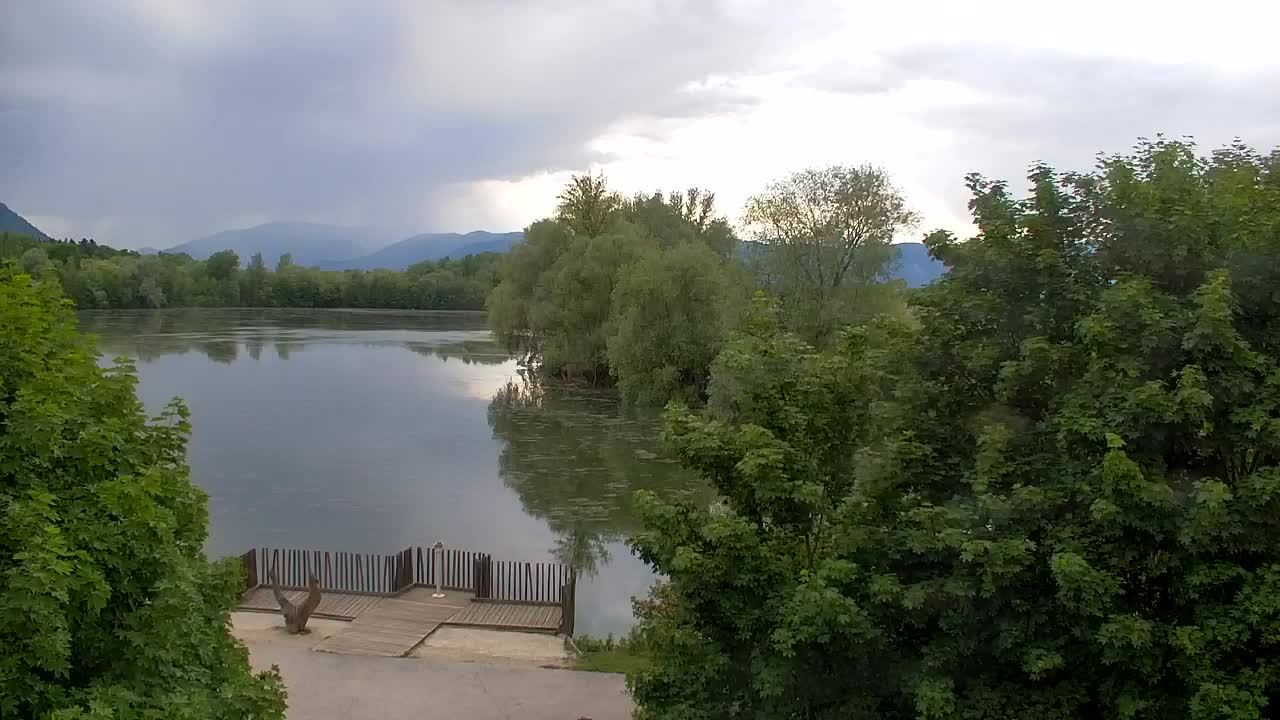 Webcam Ribnik Vrbje – Žalec