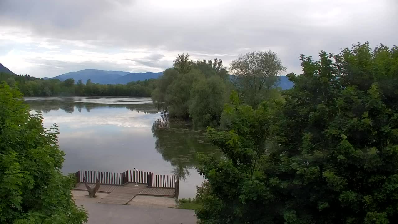 Webcam Ribnik Vrbje – Žalec