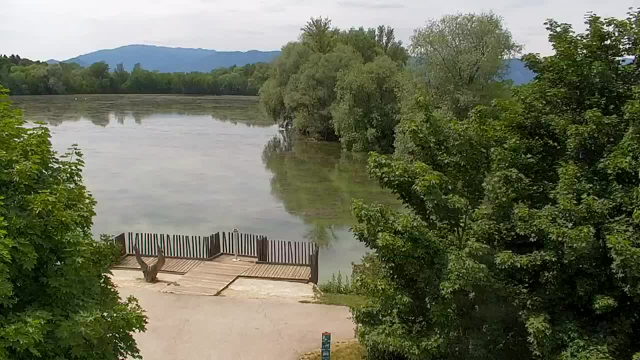Web kamera Ribnik Vrbje – Žalec