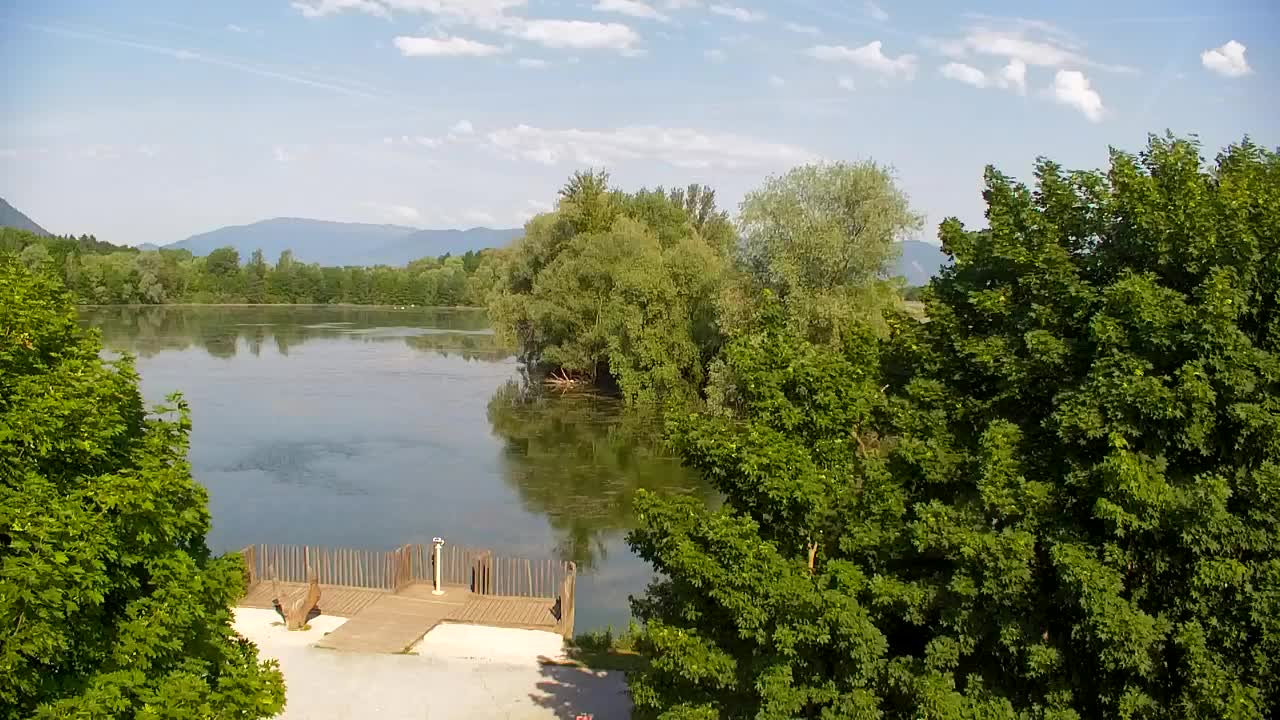 Webcam Ribnik Vrbje – Žalec