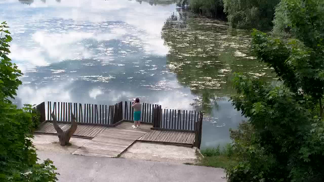Webcam Ribnik Vrbje – Žalec