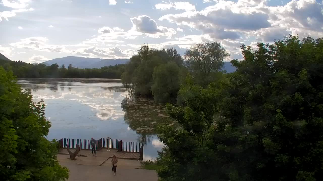 Webcam Ribnik Vrbje – Žalec