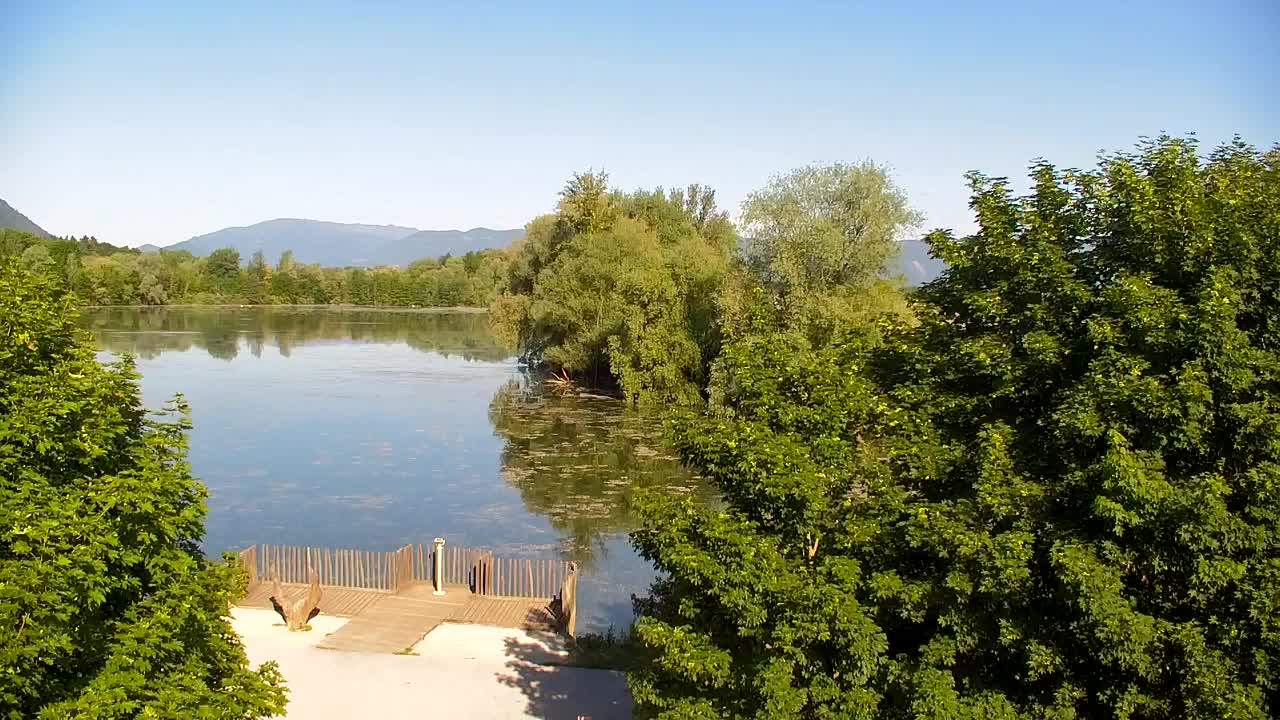 Webcam Ribnik Vrbje – Žalec