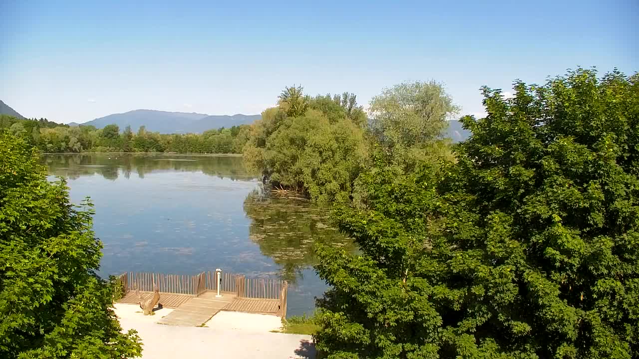 Webcam Ribnik Vrbje – Žalec