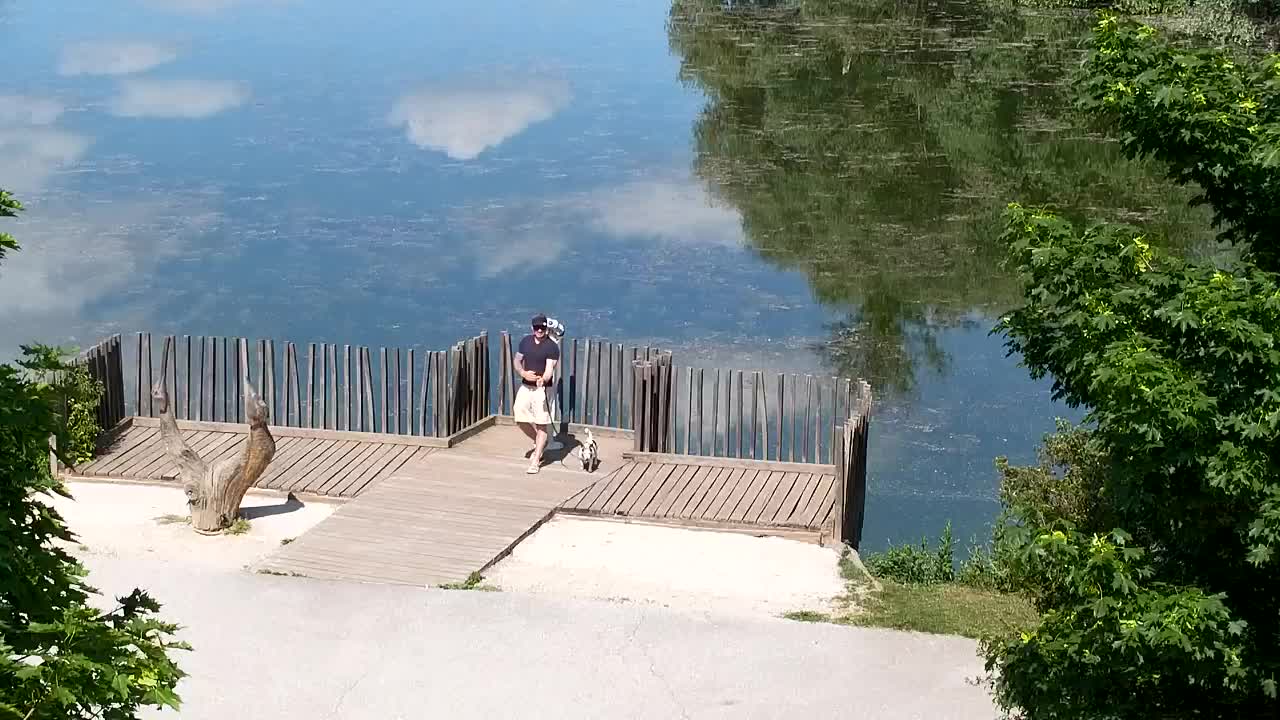Web kamera Ribnik Vrbje – Žalec