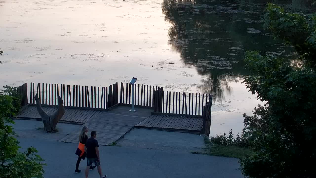 Webcam Ribnik Vrbje – Žalec