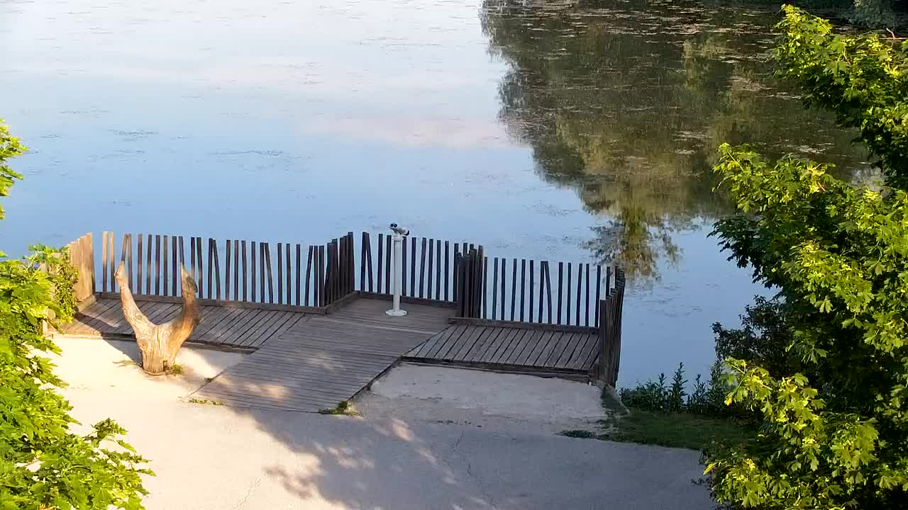 Webcam Ribnik Vrbje – Žalec