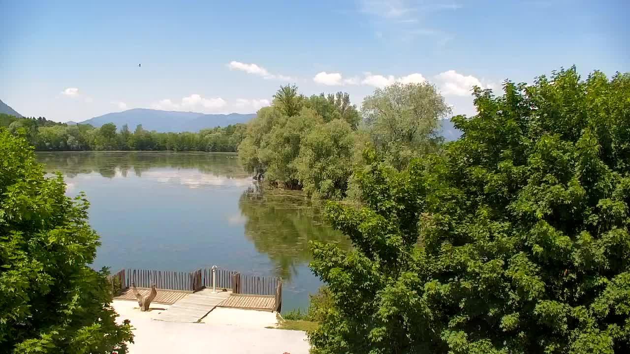 Webcam Ribnik Vrbje – Žalec