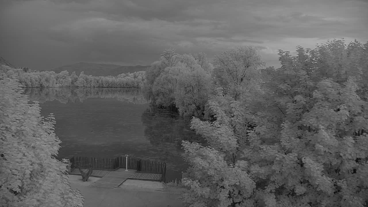 Webcam Ribnik Vrbje – Žalec