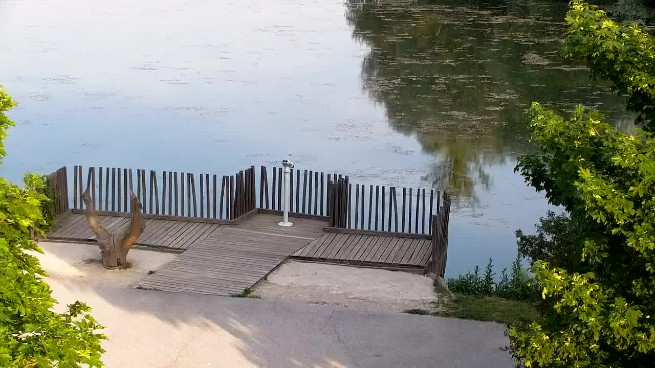 Spletna kamera Ribnik Vrbje – Žalec