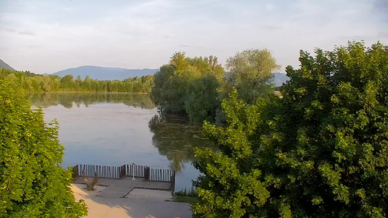 Spletna kamera Ribnik Vrbje – Žalec