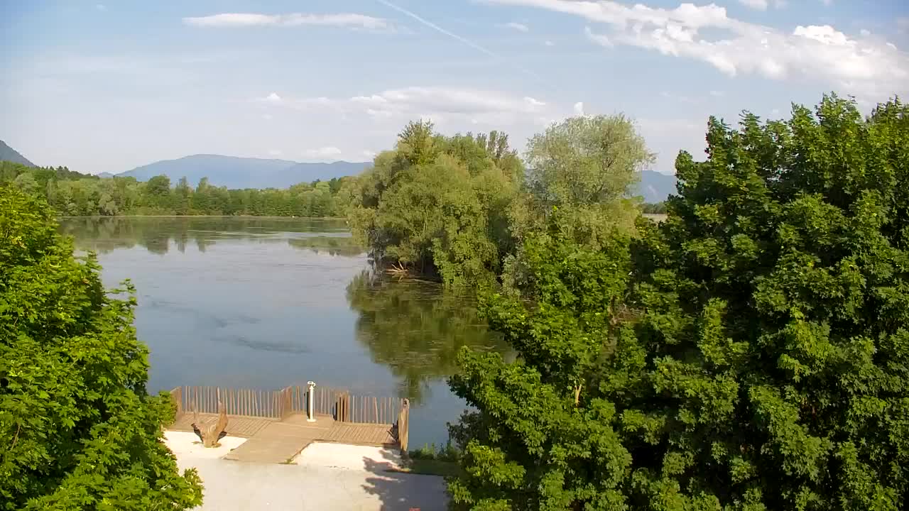 Webcam Ribnik Vrbje – Žalec