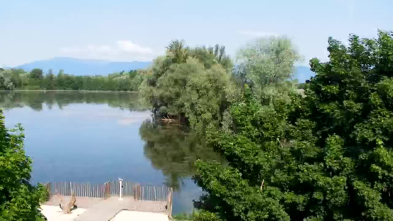 Webcam Ribnik Vrbje – Žalec