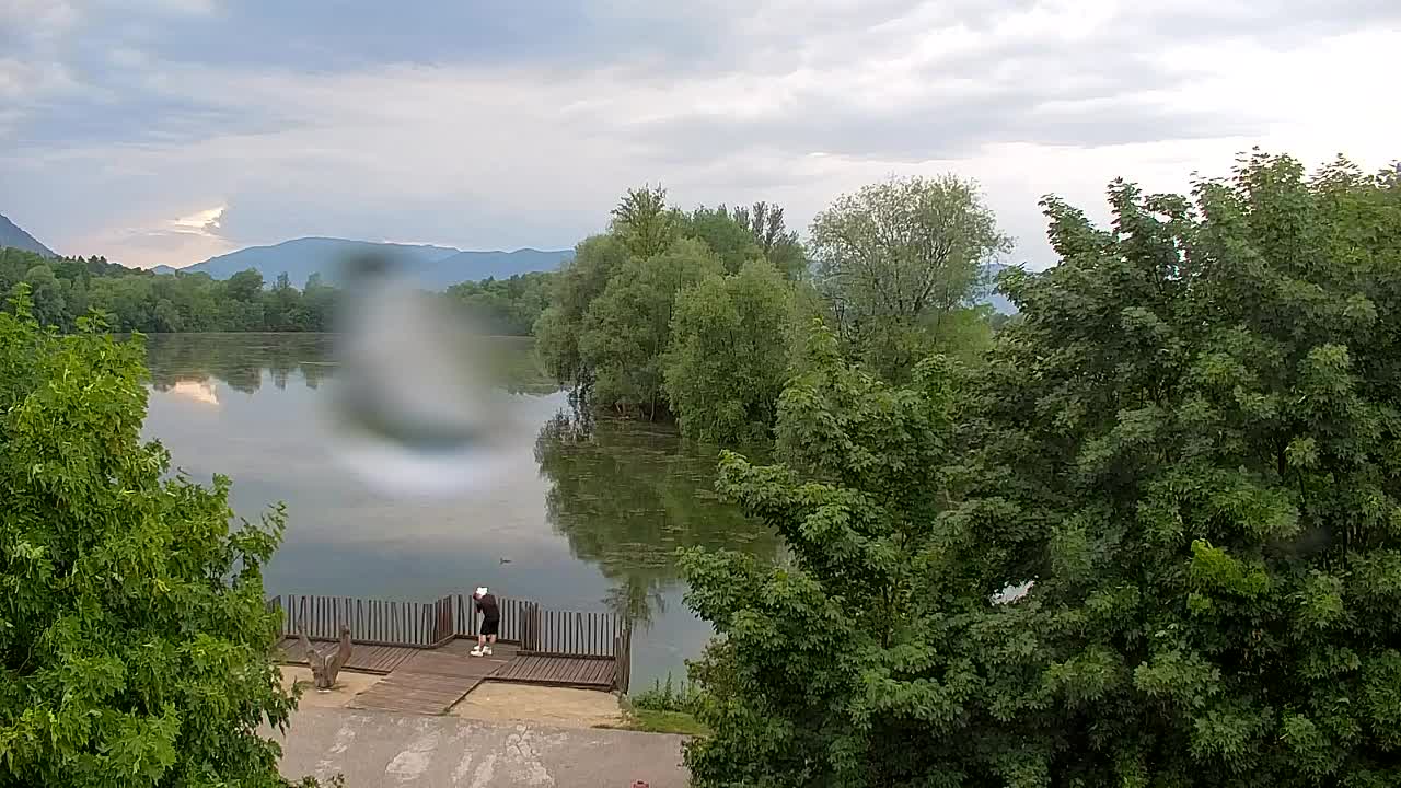 Spletna kamera Ribnik Vrbje – Žalec