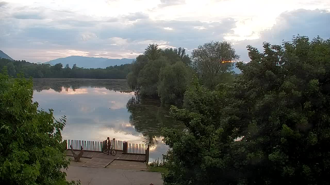 Spletna kamera Ribnik Vrbje – Žalec