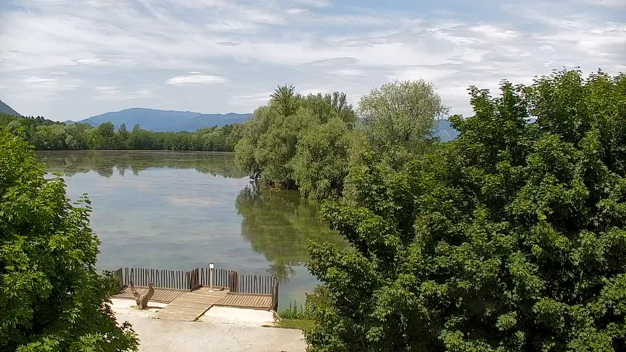 Webcam Ribnik Vrbje – Žalec