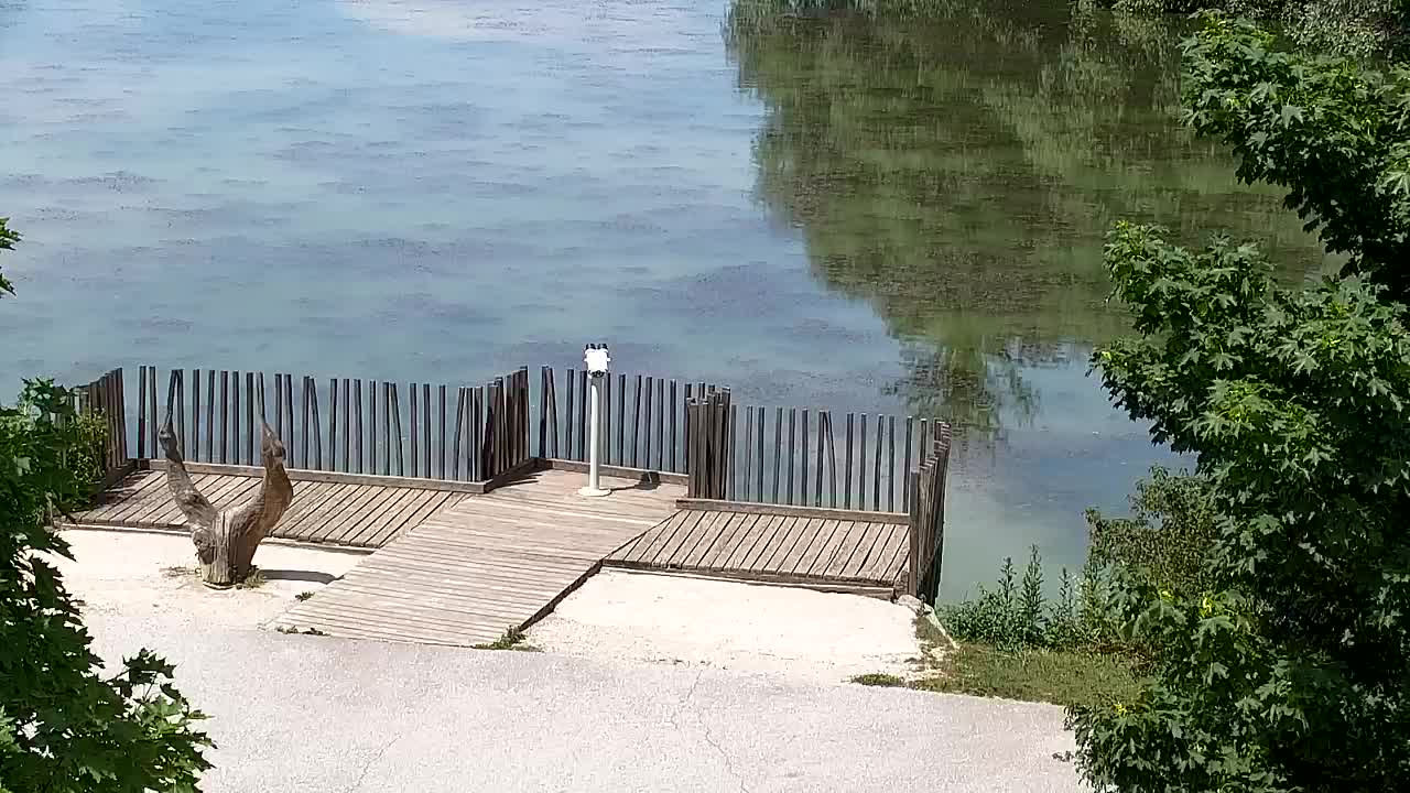 Webcam Ribnik Vrbje – Žalec